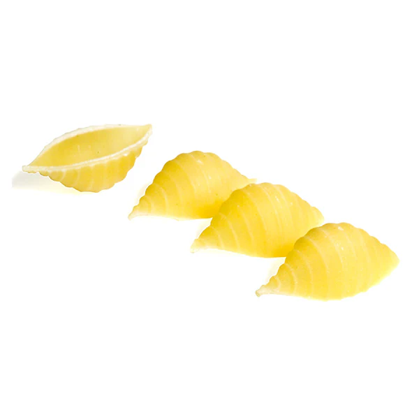 Anna Shells   1 LB - Image 2