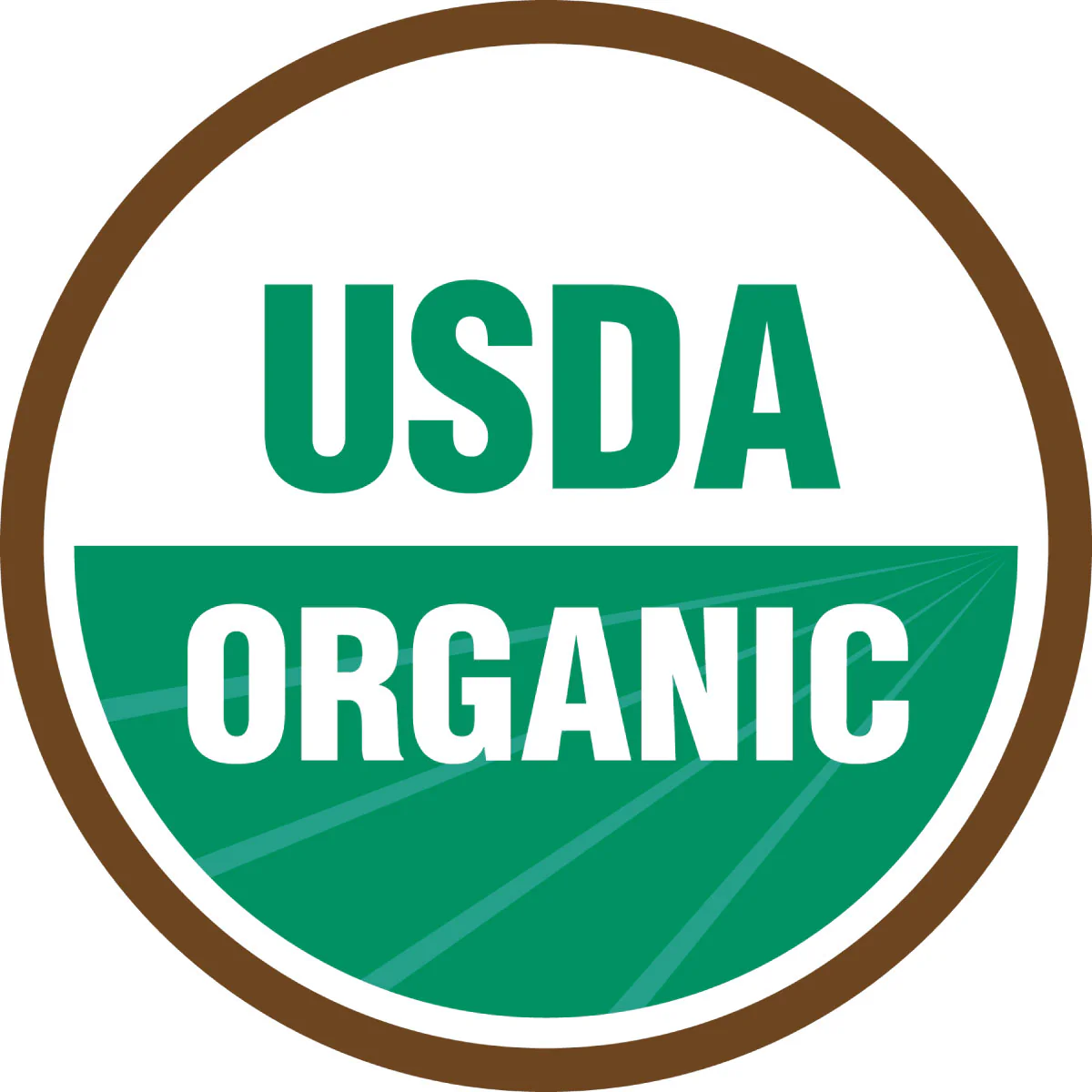 Cento Organic Black Beans 15.5 OZ - Image 3